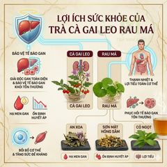 Trà Cà Gai Leo Túi Lọc Mộc Tâm- Hỗ Trợ Giải Độc, Thanh Nhiệt, Mát Gan, Cải Thiện Tiêu Hóa- Đẹp Da ( Hộp 30 túi x 3g)
