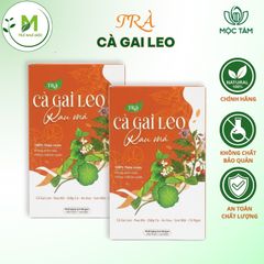Trà Cà Gai Leo Túi Lọc Mộc Tâm- Hỗ Trợ Giải Độc, Thanh Nhiệt, Mát Gan, Cải Thiện Tiêu Hóa- Đẹp Da ( Hộp 30 túi x 3g)
