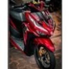 TEM KINGKONG VARIO 150 ĐỎ (TEM VARIO CON KHỈ) - Decal Cao Cấp Nhất