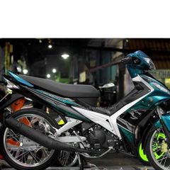 Tem Rời Xe Ex Nhỏ 2006 - 2010 Đen Phối Xanh Ngọc