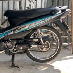 Tem Rời Elegant 50 Xanh Đen 2018  - Decal In Chất Lượng