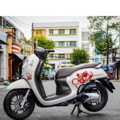 [FreeShip] [Ảnh thật] Tem rời Scoopy - Mẫu gấu dâu nổi bật - Chuẩn From cực đẹp Quyen Decal