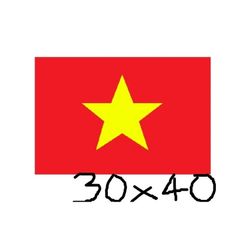 Decal Lá Cờ Việt Nam Lớn Trang trí mọi nơi không bay màu chống nước