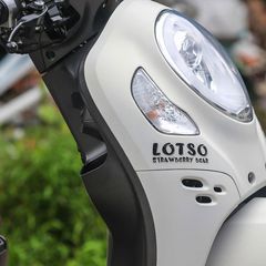[FreeShip] [Ảnh thật] Tem rời Scoopy - Mẫu Gấu LOTSO HOT 2023 - Chuẩn From cực đẹp Quyen Decal