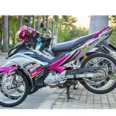 Tem Rời Ex 135 Mẫu 2011 Trắng Xám Hồng