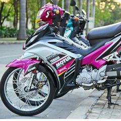 Tem Rời Ex 135 Mẫu 2011 Trắng Xám Hồng