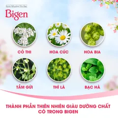 Thuốc Nhuộm Tóc Phủ Bạc Dạng Kem Bigen Speedy Color Cream - Bigen Nhật Bền Màu Phủ Bạc Thảo Dược Hoàn Hảo 80ml 640615