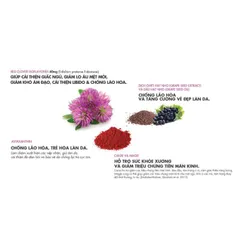 Viên Uống Hỗ Trợ Chống Lão Hóa ESTRIONA (MENOPAUSE)