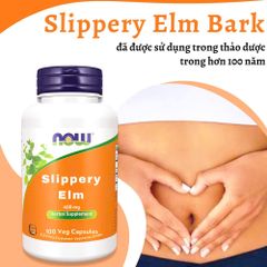 NOW Foods Slippery Elm 400 mg - Viên Uống Hỗ Trợ Tiêu Hóa Tự Nhiên 100 Viên - Vegan, Không Gluten, Bảo Vệ Dạ Dày & Ruột