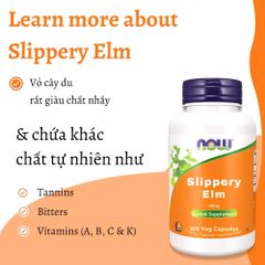 NOW Foods Slippery Elm 400 mg - Viên Uống Hỗ Trợ Tiêu Hóa Tự Nhiên 100 Viên - Vegan, Không Gluten, Bảo Vệ Dạ Dày & Ruột