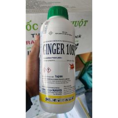ĐẶC TRỊ DIỆT CÔN TRÙNG GINGER 10SC 1LÍT Nhập ẤN ĐỘ,Diệt muỗi kháng thuốc cực tốt,Huyền phù đậm đặc,Bộ y tế Cấp Phép