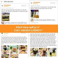 Tinh Dầu Bamboo ESKY AROMA GARDEN Tinh Dầu Xông Phòng Hương Nước Hoa Thư giãn 10ml 20ml