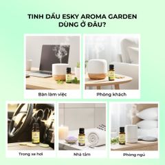 Tinh Dầu Lá Thông ESKY AROMA GARDEN Tinh Dầu Thiên Nhiên, Trong Lành, Sạch Thoáng 10ml 20ml