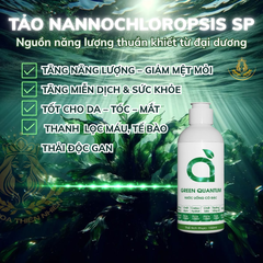 Nước Uống Cô Đặc Green Quantum Tảo Nannochloropsis & Diệp Lục  - Thanh Lọc Cơ Thể, Tăng Cường Miễn (Chai 150ml)