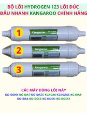 Lõi lọc nước đúc 123 Kangaroo dùng cho máy lọc nước Kangaroo các model KG100HK KG10A7S