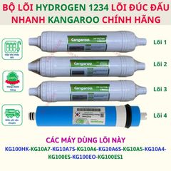 Bộ lõi lọc nước 1234 Kangaroo đúc liền dùng cho các model KG100HK-KG10A7-KG10A7S-KG10A6-KG10A6S-KG10A5-KG10A4-KG100ES-KG