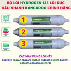 Bộ lõi lọc nước 1234 Kangaroo đúc liền dùng cho các model KG100HK-KG10A7-KG10A7S-KG10A6-KG10A6S-KG10A5-KG10A4-KG100ES-KG