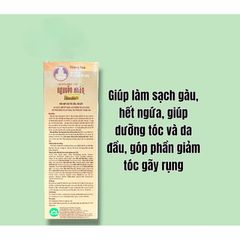 Dầu gội dượcc liệuu Nguyên Xuân_Xanh_Lá_Đỏ(Chai 250ml)