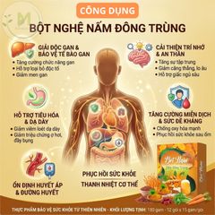 Bột Nghệ Nấm Đông Trùng- Tinh Bột Nghệ, Gạo Lứt, Bột Sắn, Nấm Đông Trùng- Hỗ Trợ Tiêu Hóa, Dạ Dày& Đại Tràng, Giải Độc Gan, Tăng Sức Đề Kháng và Bồi Bổ Cơ Thể ( Hộp 20 túi )