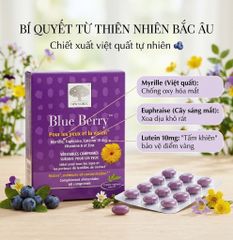 Viên Uống Bổ Mắt New Nordic Blue Berry 60 Viên - Hỗ Trợ Thị Lực và Trí Nhớ Từ Thiên Nhiên, Dinh Dưỡng