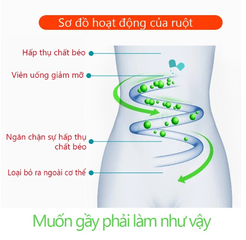 SAUSANDO viên Tảo Biển Giảm Mỡ Nhanh- Từ Nhật Bản, Hỗ Trợ Kêt Quả Ro Rêt