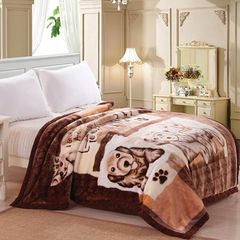 Chăn mền tuyết nhung 2.5kg dài 1m9x2m 2 lớp loại dày, mền bông mùa đông cotton mềm mịn 2mx2m