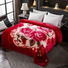 Chăn mền tuyết nhung 2 lớp loại dày siêu ấm mền mịn 1,6mx2m bao đẹp cao cấp nặng 1.7kg