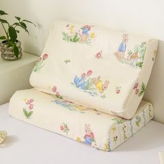 Gối Cao Su Non Cho Bé Gối Ngủ In Hình