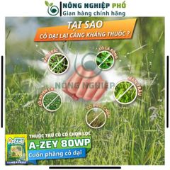 Thuốc trừ cỏ dại cho ngô A-zet 80wp Multiagro gói 100g, Chế phẩm trừ cỏ thế hệ mới nội hấp, đậm đặc di.ệt sạch tận rễ cỏ