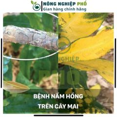 Thuốc Trừ Nấm Bệnh Thối Rễ Thán Thư Chết Nhanh Đốm Lá Cây Trồng, Hoa, Cây Kiểng Multiagro Ridomil Gold 68WP (Gói 100g)Th