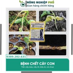 Thuốc Trừ Nấm Bệnh Thối Rễ Thán Thư Chết Nhanh Đốm Lá Cây Trồng, Hoa, Cây Kiểng Multiagro Ridomil Gold 68WP (Gói 100g)Th