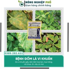 Thuốc Trừ Nấm Bệnh Thối Rễ Thán Thư Chết Nhanh Đốm Lá Cây Trồng, Hoa, Cây Kiểng Multiagro Ridomil Gold 68WP (Gói 100g)Th