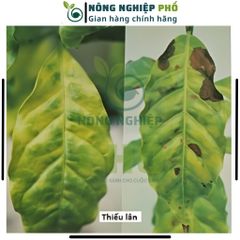 [KHUYỄN MÃI] Phân Supe Lân Lâm Thao Giúp Cây Phát Triển Bộ Rễ, Hình Thành Mầm Hoa, Đẻ Nhánh, Xanh, Dày Lá- Túi 1Kg