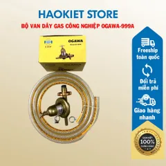 BỘ VAN DÂY GAS CÔNG NGHIỆP OGAWA-999A