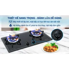 Bếp ga âm Rinnai RVB-2BG(F)N