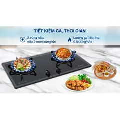 Bếp ga âm Rinnai RVB-2BG(F)N