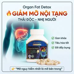 Viên Uống Giảm Mỡ Nội Tạng Vitatree Organ Fat Detox hỗ trợ tiêu hóa hỗ trợ chuyển hóa hộp 60 viên