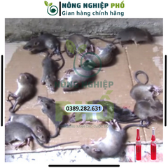 [XẢ KHO] COMBO 100 Nọ Chuột Nước Đỏ hàng nội địa Trung Quốc. Trừ sạch nhanh tất cả các loại chuột cam kết hiệu quả ngay sau 1 lần sử dụng