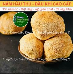 Nấm Hầu Thủ Sấy Khô 100gram - Nấm Đầu Khỉ Tự Nhiên Hỗ Trợ Tăng Cường Sức Khỏe và Giảm Stress