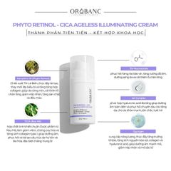 Kem dưỡng trẻ hóa, căng bóng da | PHYTO RETINOL - CICA AGELESS ILLUMINATING CREAM OROBANC