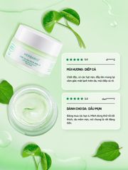 Mặt nạ Rau Má & Diếp Cá giảm dầu, mụn Herbario 30ml thuần chay chính hãng