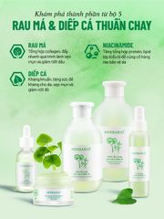 Nước tẩy trang Rau Má & Diếp Cá Herbario 300ml thuần chay cho da mụn, da dầu