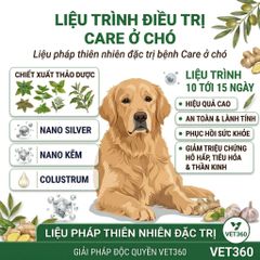 LT Bệnh care - Ca rê ở chó  - sài sốt - Canine Distemper Virus (CDV)