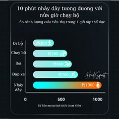 Dây nhảy đếm bước Hadi Lining dây nhảy trẻ em người lớn tặng kèm túi đựng mã LJST847