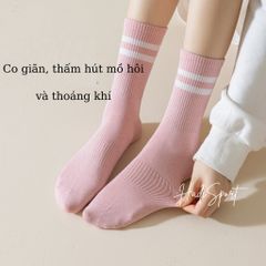 Tất thế thao nữ tất thời trang phong cách Hàn Quốc độ đàn hồi cao chống trượt thoáng khí thấm mồ hôi