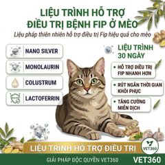 Giải Pháp Hỗ Trợ Mèo Bị FIP - VET360 - Điều Trị Viêm Phúc Mạc Mèo Giá Rẻ, An Toàn và Hiệu Quả