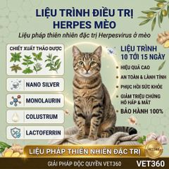 Giải pháp cho mèo herpes (HPV) - Vet360 - Hỗ trợ viêm mũi khì quản - Bảo hành và tăng cường miễn dịch