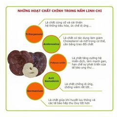 Nấm Linh Chi Đỏ Thượng Hạng Achimmadang Korea Lingzhi Mushroom 1kg