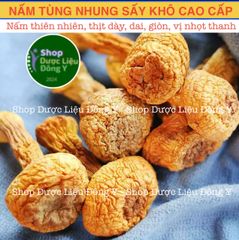 Nấm Tùng Nhung Khô 100g - Nấm Quý Tự Nhiên Dùng Trong Canh, Lẩu, Giúp Phục Hồi Sức Khỏe, An Toàn Vệ Sinh Thực Phẩm