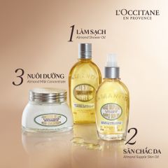 (Chai 100ml) Tinh dầu hạnh nhân L'Occitane Almond Supple Skin Oil Chính Hãng
